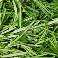 Rosemary: